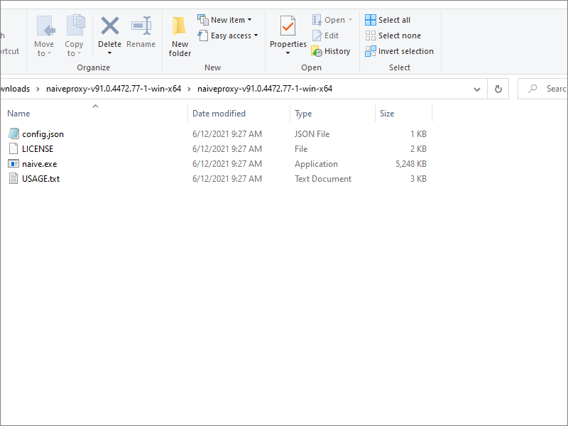 NaiveProxy files extracted from the zip file