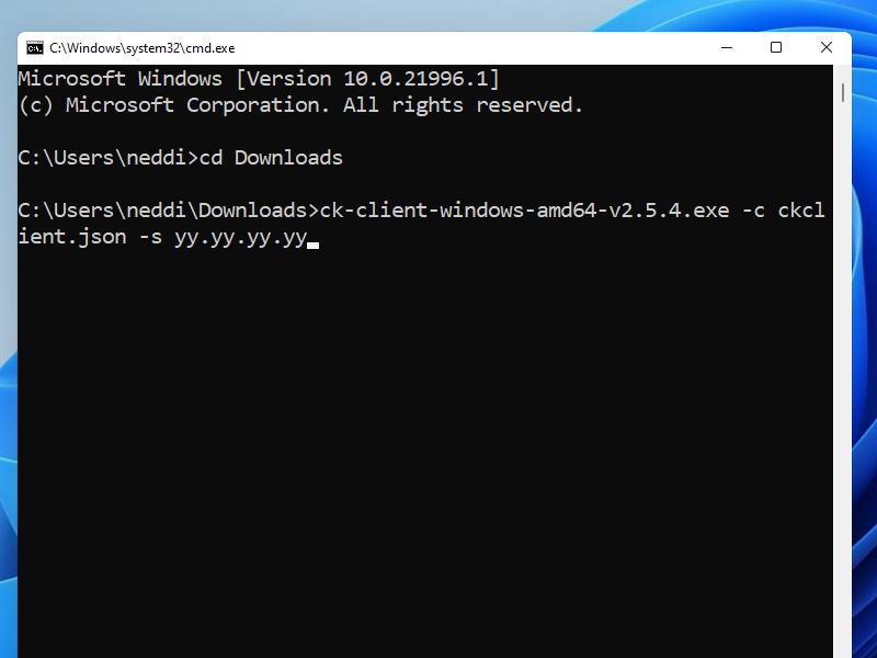 Running Cloak client in a Windows Command Prompt window