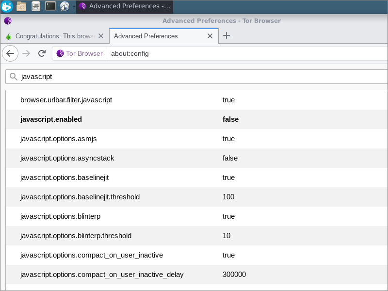 Tor Browser with JavaScript enabled set to false