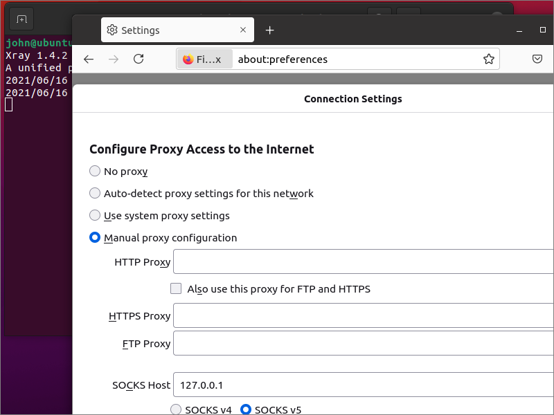 Firefox manual proxy configuration for Xray on Linux